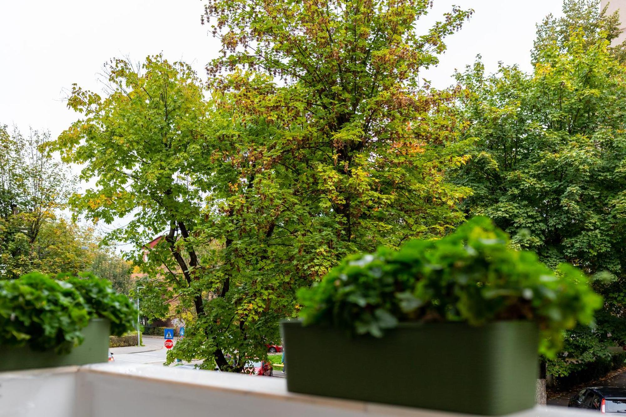 Apartament Octavia ฮูเนโดอารา ภายนอก รูปภาพ