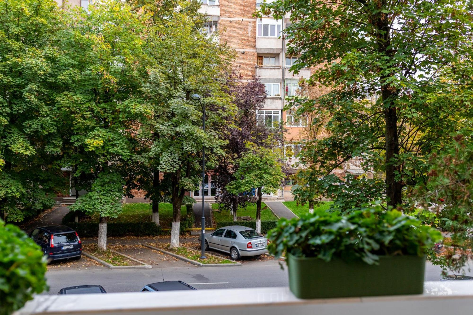 Apartament Octavia ฮูเนโดอารา ภายนอก รูปภาพ